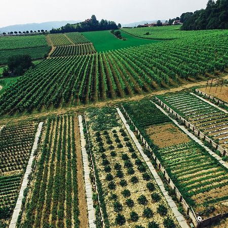 Le Magnolie Pansiyon Cioccaro Di Penango Dış mekan fotoğraf